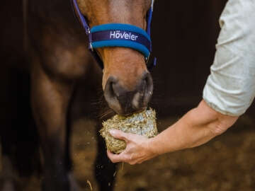 Höveler Webshop Kategorie Kachel Mineralstoffe und Vitamine 360x270px